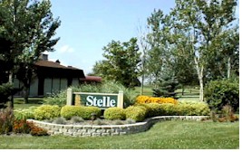 Stelle subdivision entrance sign, n.d. Credit: https://en.wikipedia.org/wiki/Stelle,_Illinois