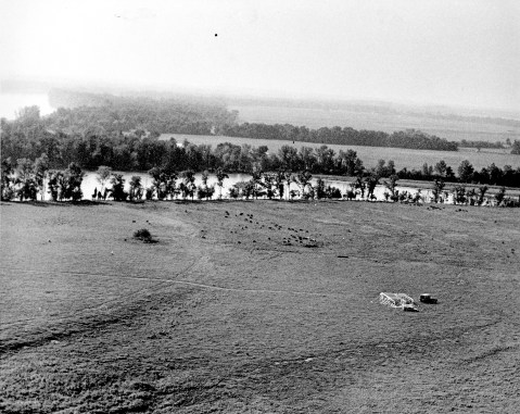 Future site of Bull Island music festival before the event, 1972. Source: Sonny Brown collection, MSS 228-0002.