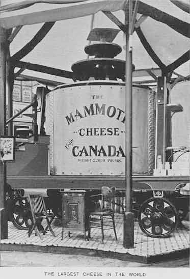 Mammoth Cheese