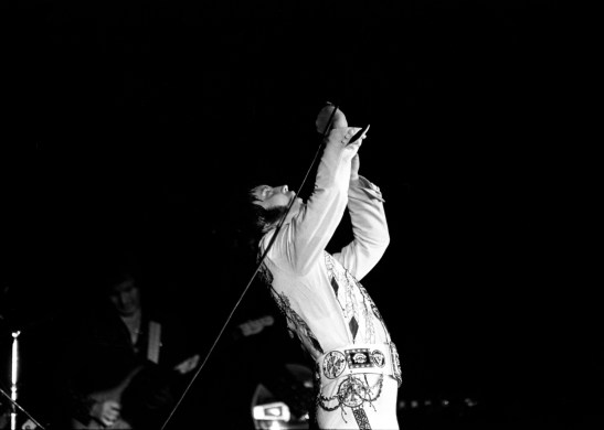 Elvis Presley in concert on October 24, 1976 at Roberts Municipal Stadium. Source: Gregory Smith collection, MSS 037-0737.