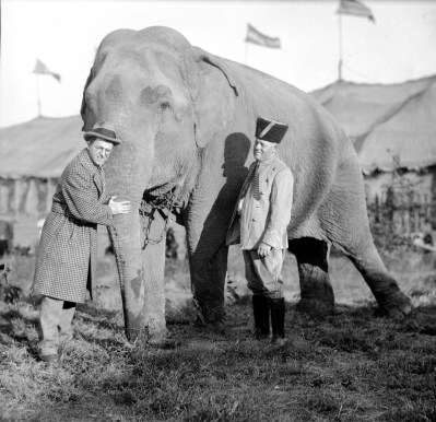 Ringling Brothers Circus elephant with Karl Kae Knecht. Source: Thomas Mueller Photographic Collection, MSS 264-2772, University Archives and Special Collections, USI