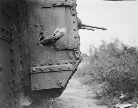 Carrier pigeon carrying information being released from a British tank, France, 1918. Source: https://tinyurl.com/sulepck
