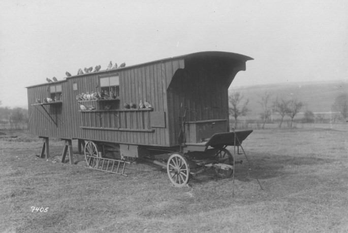 Photograph of a mobile station that was used to house pigeons when they were deployed away from their home. (National Archives Identifier17391470) Source: https://tinyurl.com/y7nf5pam