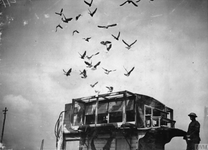 London double-decker bus converted for use as a mobile loft for carrier-pigeons, 1918. (British) Ministry of Information First, World War Official Collection; photograph by 2nd Lt. David McLellanSource: https://tinyurl.com/sulepck