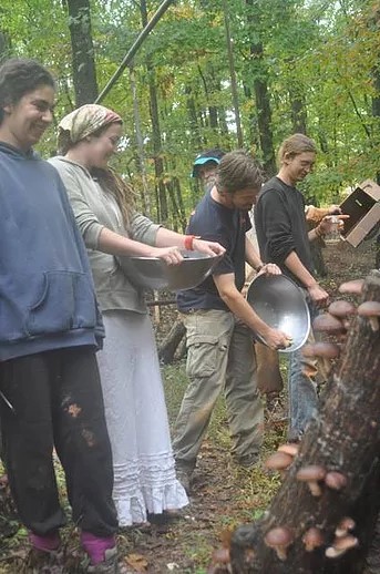 People picking mushrooms in the woods, n.d. Source: Source: https://www.mushroompeople.com/about-us