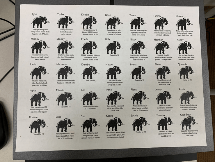 The Circus Comes to Town Series from History&nbsp;246