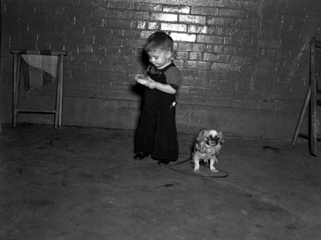 Small boy with dog