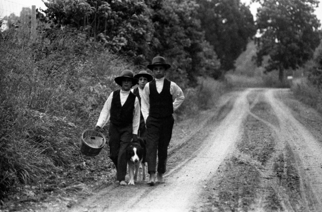 Amish boys with dog
