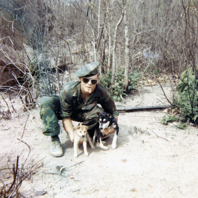 Marine with dogs in Vietnam